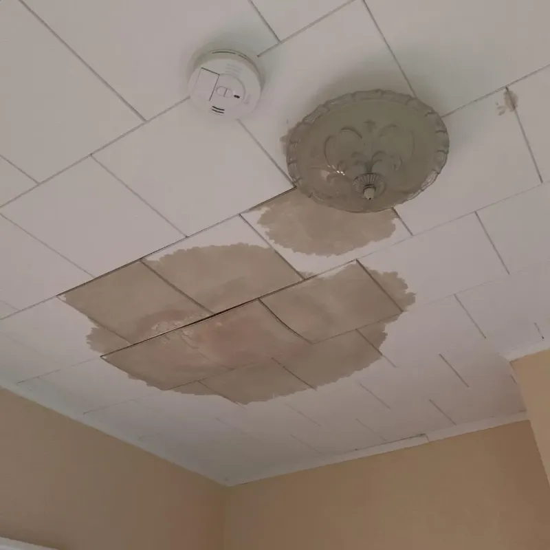 Ceiling Water Damage Repair in Port Carbon, PA