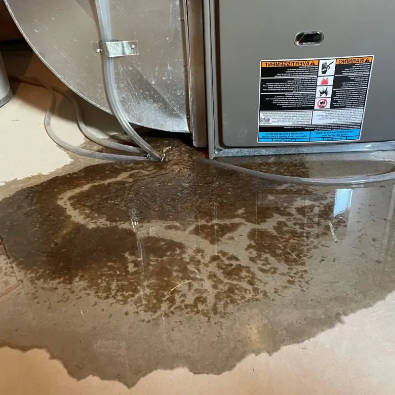Pipe Burst and Leak Restoration in Port Carbon, PA